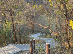 -方山风景区定林寺