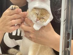 -熊小胖宠物生活馆(天华园店)