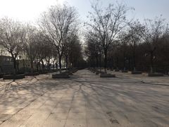 -西安汉城湖景区