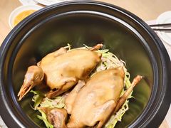 陈皮乳鸽绿豆汤-美食小镇·观赏珍稀鸟类·长隆熊猫酒店