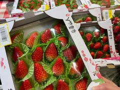 -盒马鲜生(联投广场店)