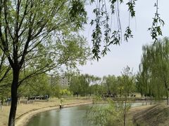 -莫子山公园