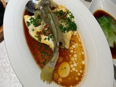 -维园悦谱·海派家常菜(乌鲁木齐南路店)