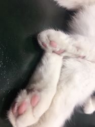 -HMC美容按摩SPA馆