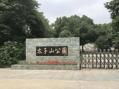 -太子山公园(园东路)