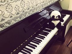 -梅纳·钢琴声乐架子鼓Mena Music(双井店)