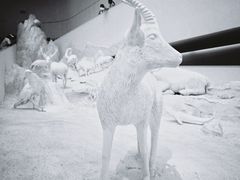 -中国湿地博物馆