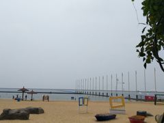 -碧海金沙