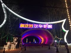 -枫花园汽车电影院(朝阳公园店)