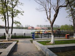 -上海长兴岛郊野公园