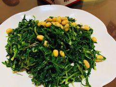 -道口古镇张存有烧鸡酒楼