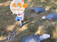 -揭东万竹园旅游景区