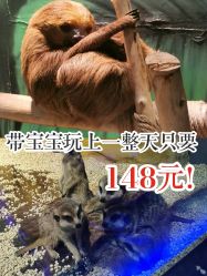 -未来动物城动物主题公园(大悦城店)