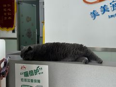 -美美宠物诊疗中心·异宠·骨科(滨江东信分院)