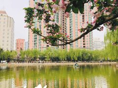 -团结湖公园