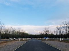-东郊湿地公园
