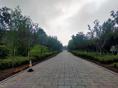 -浮山香苑