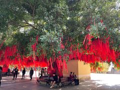 -西双版纳勐泐文化旅游区