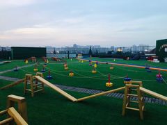 -无锡金色摇篮幼儿园(宝龙城市广场店)
