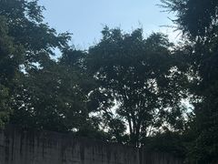 -中国湿地博物馆