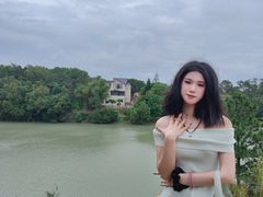 -广东惠东海龟国家级自然保护区