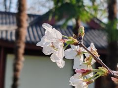 -堤角公园