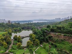 -张坝桂圆林公园