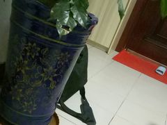 -老崔的面馆(玉函路店)