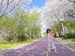 -尚贤河湿地