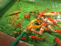 -常州海昌海洋探索馆