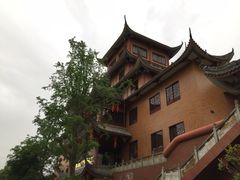 -江湾神木园
