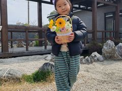 -菊园百果园