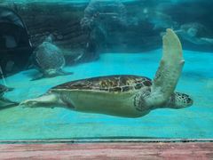 -海合安成都极地海洋公园