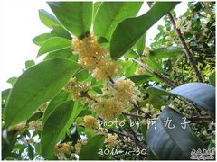 -杭州少年儿童公园