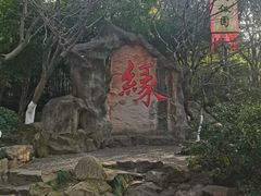 -杭州黄龙洞