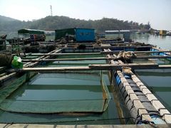 -海上驿站渔家菜馆