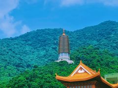 -深圳仙湖植物园