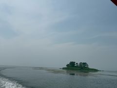 -滕州微山湖红荷湿地景区