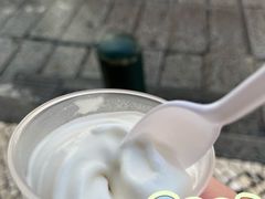 -洪馨椰子