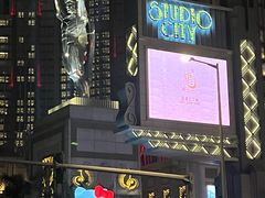 -澳门威尼斯人综合度假区