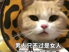 -成都失恋馆