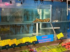 -辉记炭烧海鲜大排档·老字号(福田店)