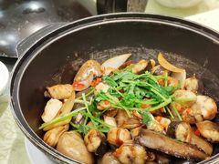白鳝-顺德人家食府(黄金广场店)