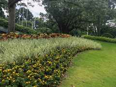 -云溪植物园