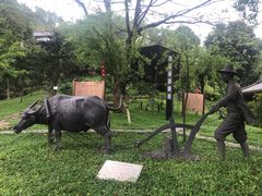-广州神农草堂中医药博物馆