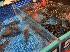 -东海怡品海鲜豆捞(星街坊店)