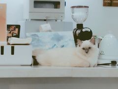 -FULL MOON满月咖啡