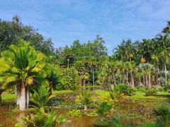 -中国科学院西双版纳热带植物园