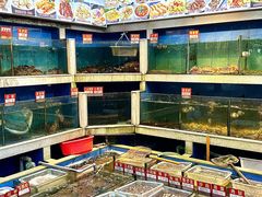 -东江海鲜大排档·潮汕菜·砂锅粥