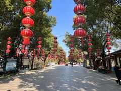 -溱湖国家湿地公园